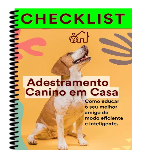 AnyConv.com__Checklist-1