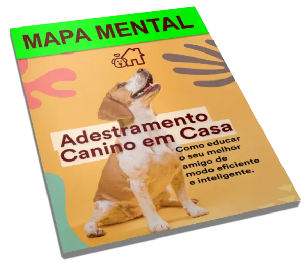 AnyConv.com__Mapa-mental-1
