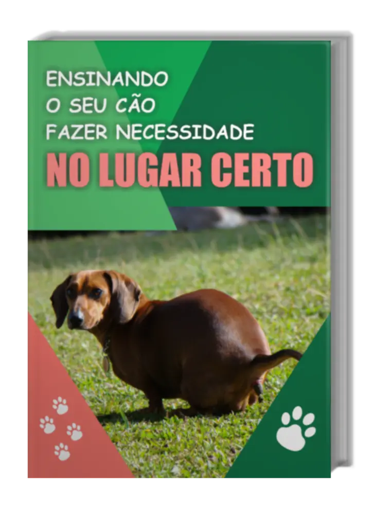 AnyConv.com__bonus-4