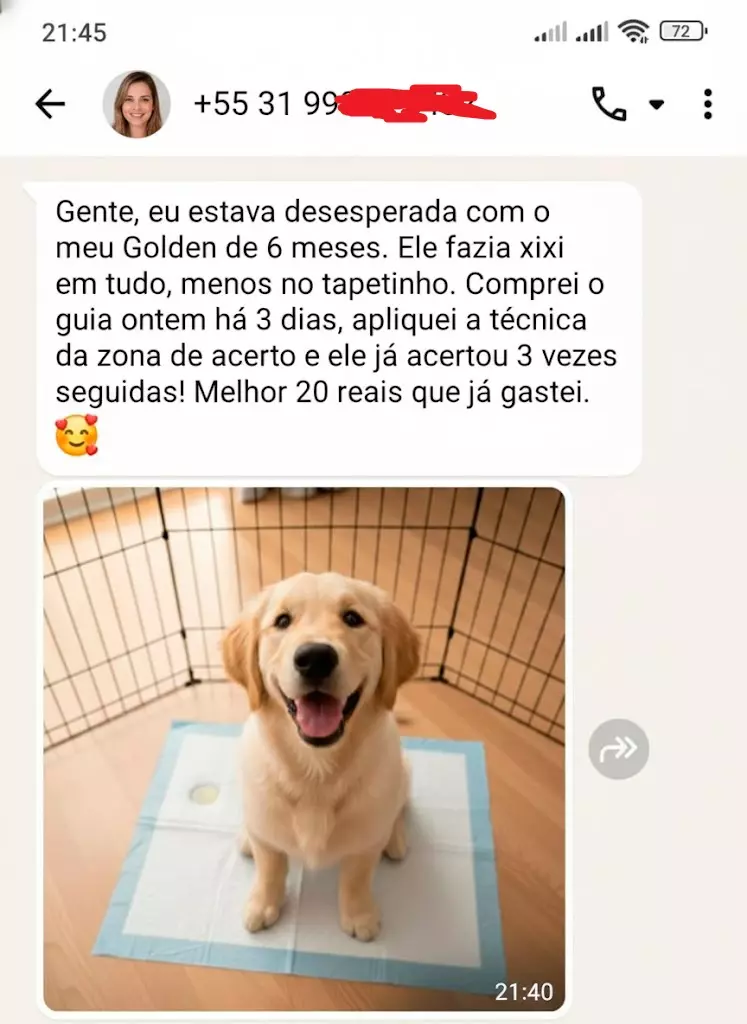 adestramento-canino-facil-depoimento_1
