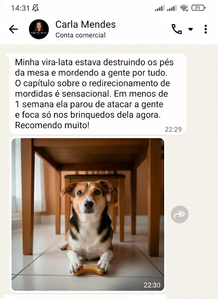 adestramento-canino-facil-depoimento_3